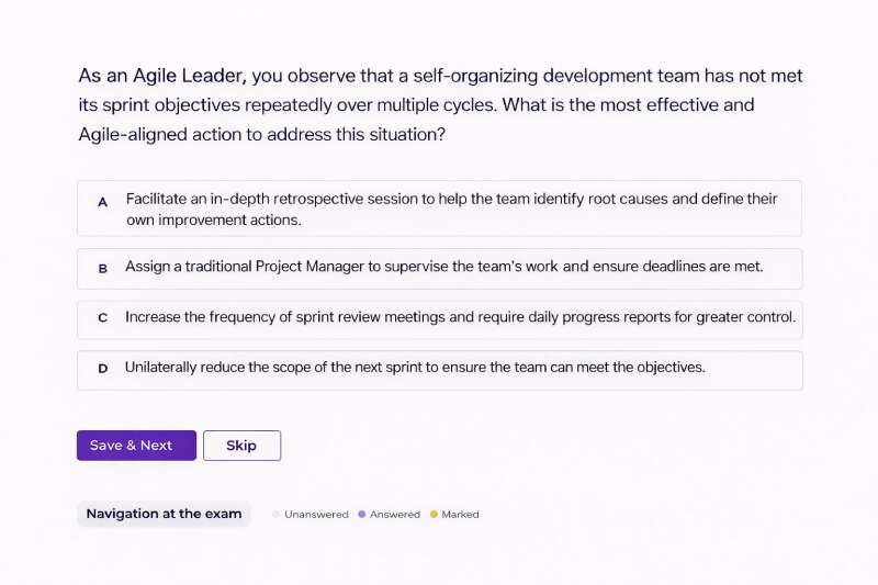 agile leader