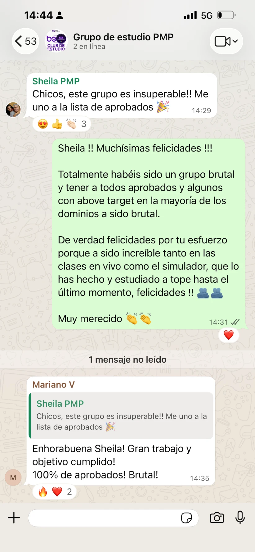 testimonio-pmp-2
